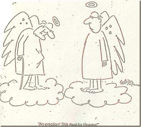 heaven paradise atheism god bible jesus humor (40)