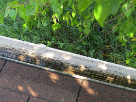 cleared gutter