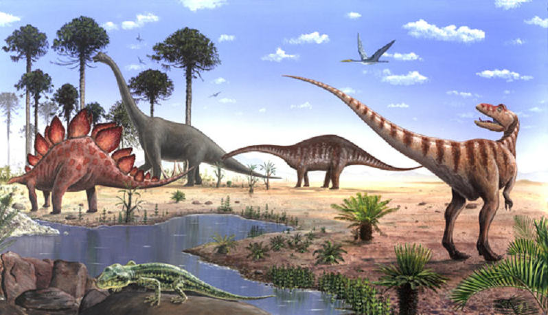 El Mesozoic - Història del planeta