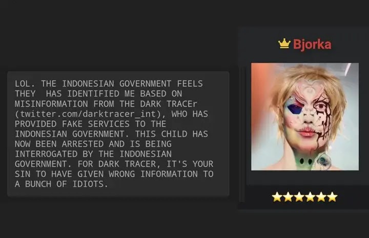 Hacker Bjorka Malah Tertawa, Soal Pemerintah Klaim Sudah Dapat Identitasnya