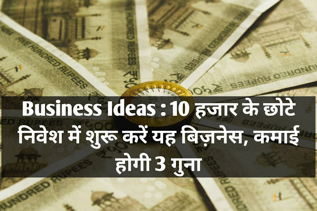 Business Ideas : 10 हजार के छोटे निवेश में शुरू करें यह बिज़नेस, कमाई होगी 3 गुना