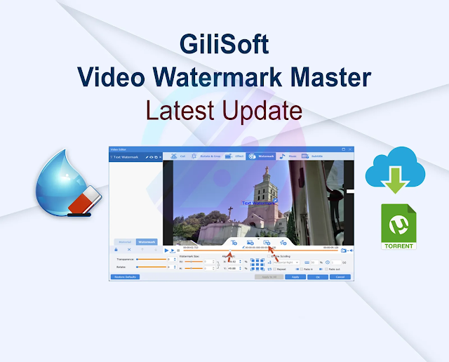 GiliSoft Video Watermark Master