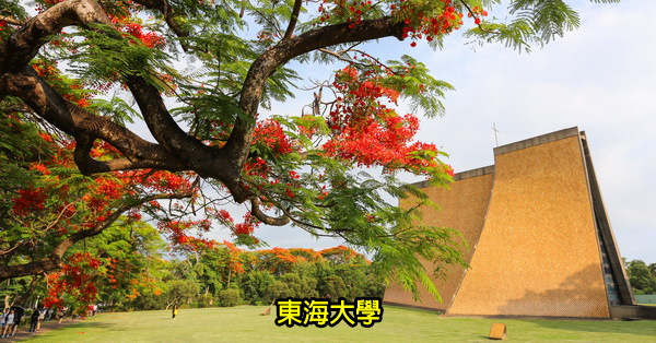 台中西屯|東海大學|路思義教堂|文理大道|東海湖|東海牧場|鳳凰花|木棉道|乳品小棧