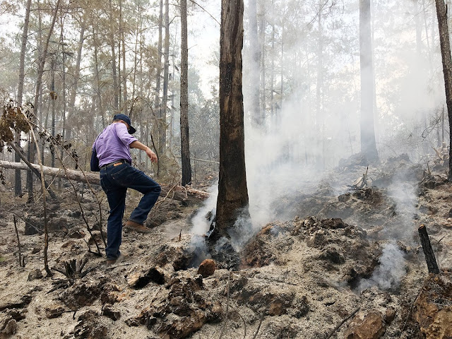 Medio Ambiente dice haitianos incendiaron Parque Sierra de Bahoruco