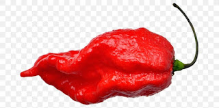 Bhut Jholakia or Naga Jholakia is also known as Ghost Pepper