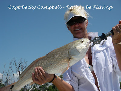 red drum