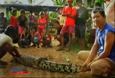 Seekor buaya sepanjang 2 meter tertangkap di kolam pemancingan Bangkahulu