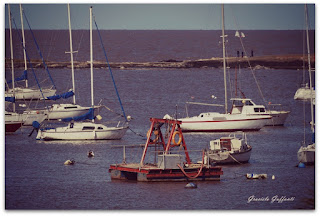 Puerto del Buceo. Montevideo. Uruguay.