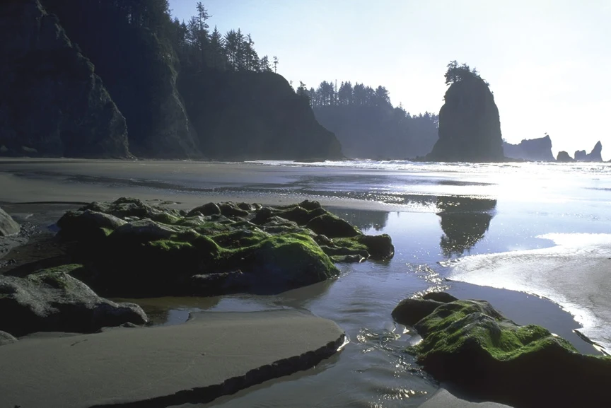 Olympic National Park