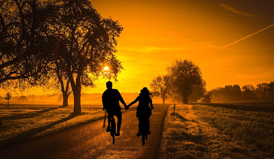 sunset, couple, bicycle,dating, cycle, , fun, holiday, vintage, summer, romance, lifestyle, woman, road, tree, holding hands, love, outdoors, riding, healthy, sports, togetherness, vacations, valentine's day, dusk,even