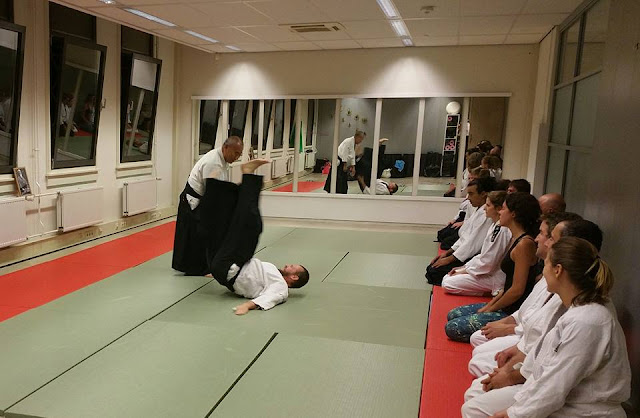 https://www.facebook.com/shinyuaikidoamsterdam/?fref=ts