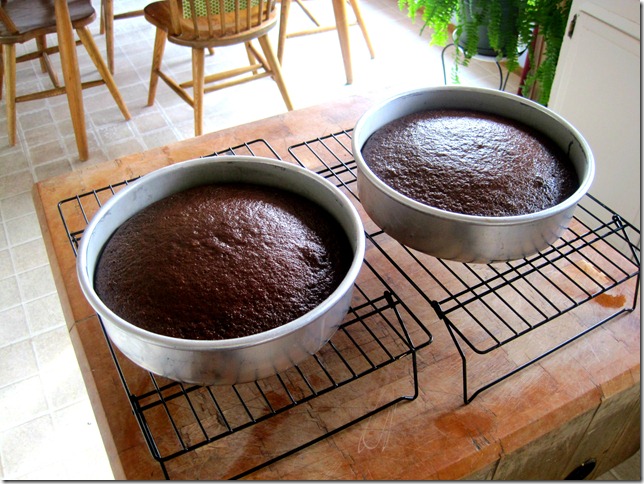 peanut butter cake 13
