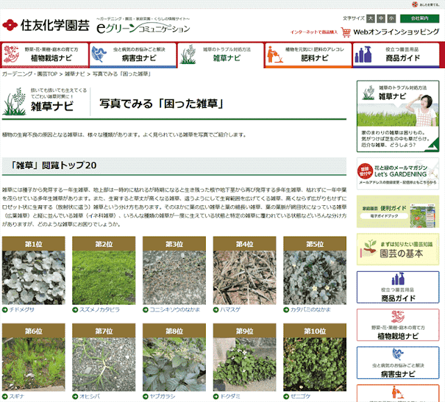 この根深い雑草にも花言葉があるんだって知ってました 竹畑耕造ブログ 定年退職して農業やりたい