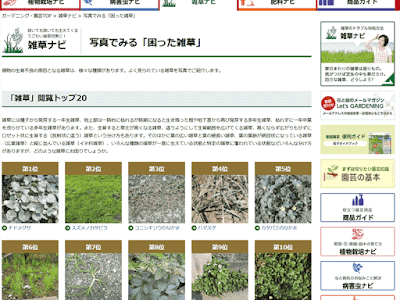 [最も選択された] 雑草 花 言葉 215538-雑草 花言葉