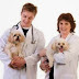 Dog Health Insurance for Your Pet