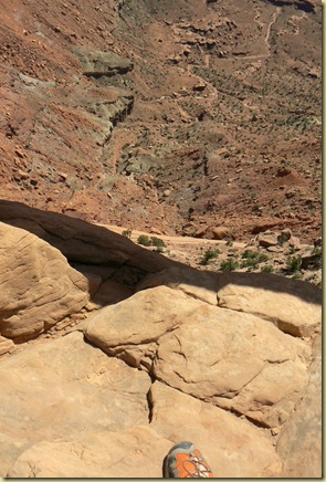 P1050411