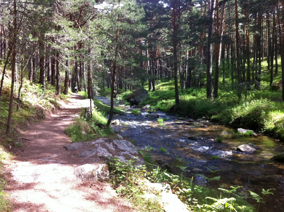 ¿Nos acompañas mañana sábado a una ruta de Cercedilla a Segovia?