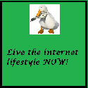 Duck's New Lifestyle