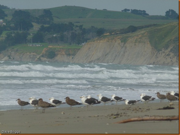 kayakdownundernzleg2-1030036