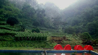 Inilah Tempat Camping Ground Yang Sejuk,Indah dan Nyaman