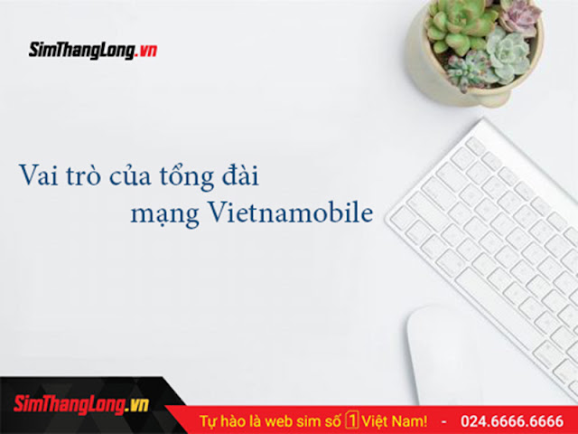 https://simthanglong.vn/bai-viet/cac-so-tong-dai-mang-vietnamobile-3227