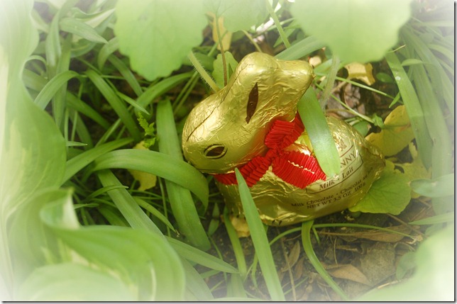 bunnyhiding