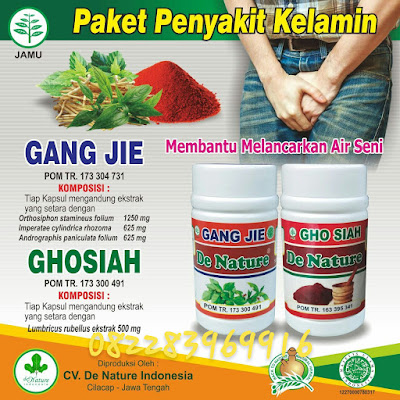 Obat Raja Singa Yg Ampuh Serta Cara Menyembuhkanya