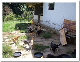 Granja 1