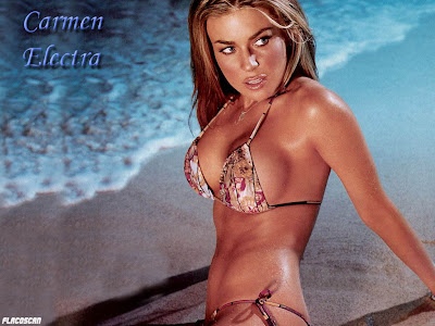 Carmen Electra boobs Cleavage bikini Wallpapers