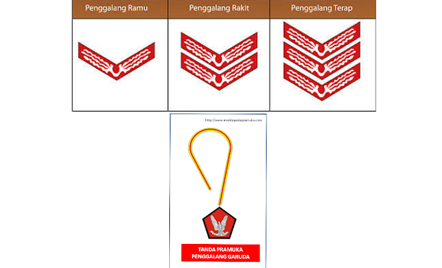 Pengertian Pramuka  Penggalang serta Tugasnya