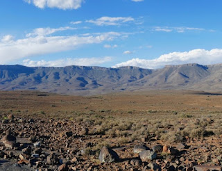 Dinosaur tracks were found in the Great Karoo, South Africa. Secular explanations fail, but again, creation science Genesis Flood models explain data.