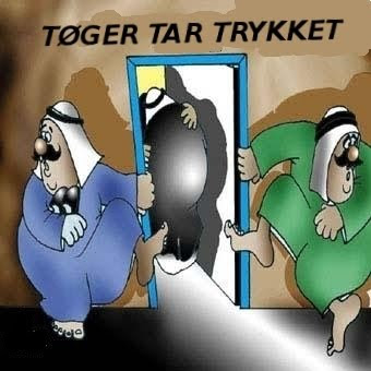 Tøger Seidenfaden cartoon