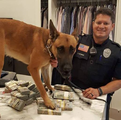 Dog sniffing counterfeit money