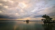 Precious Garden Resort, Samal Island
