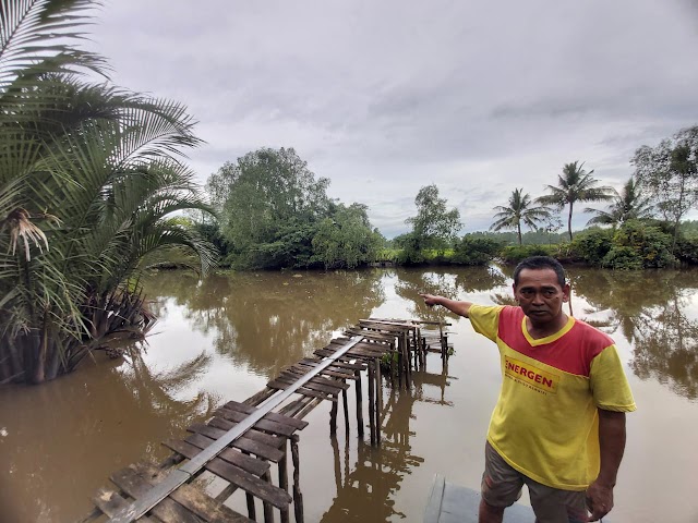 Tak Hanya 2,  Buaya di Tatah Bangkal Ada 4 Ekor