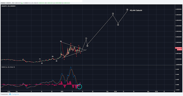 oax coin teknik analiz