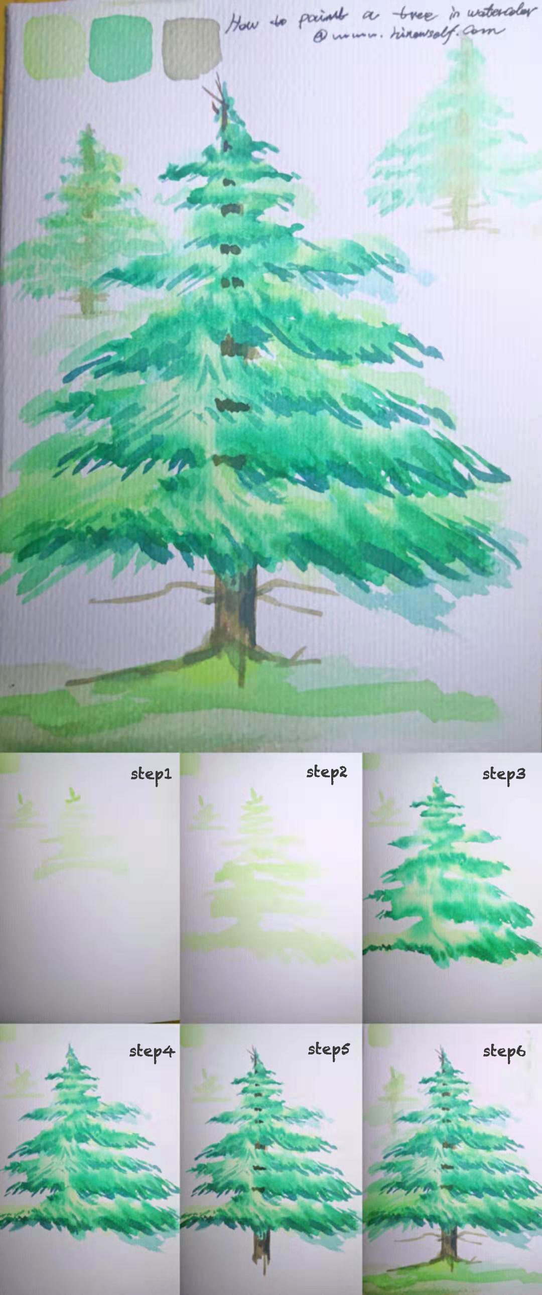 How to draw Watercolor pine Tree for beginner