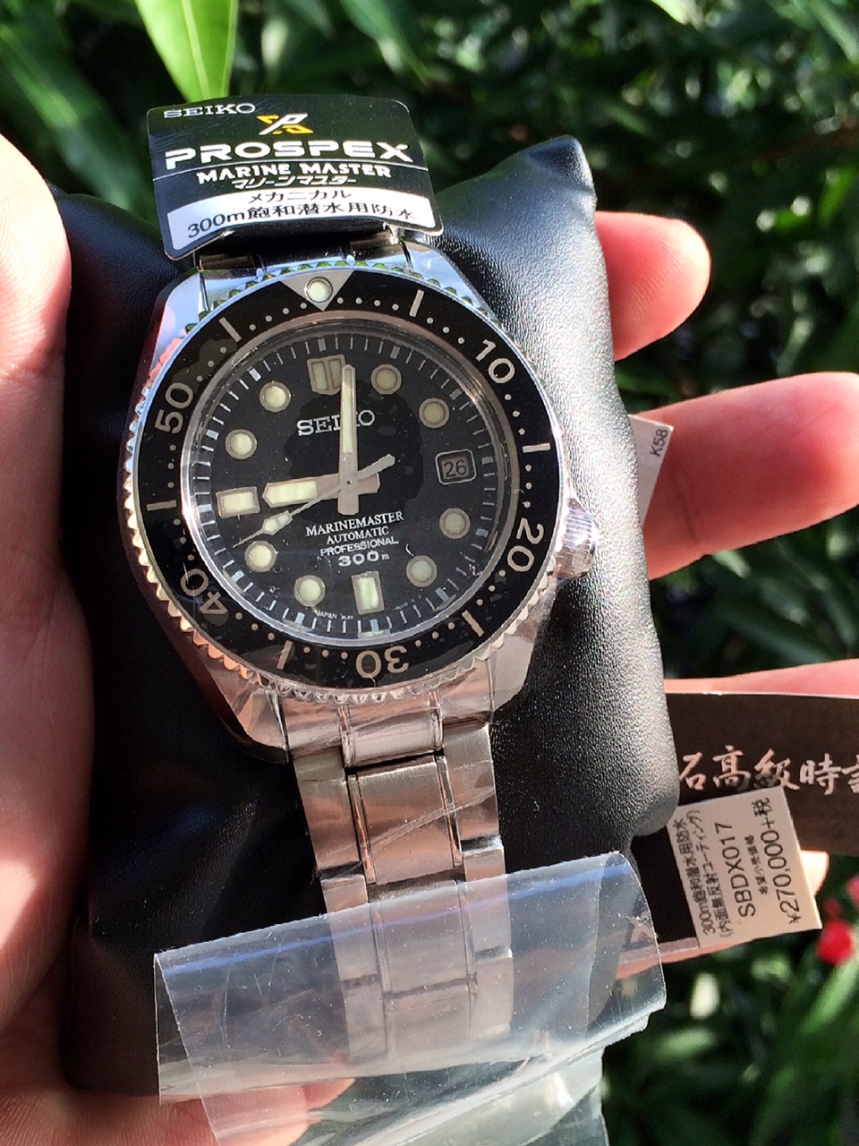 MM300 SBDX017