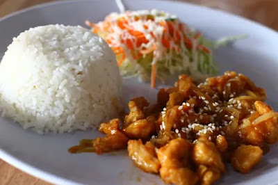 delicious butter chicken along with lots of white rice and veg salad in a big white color plate