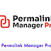 Permalink Manager Pro