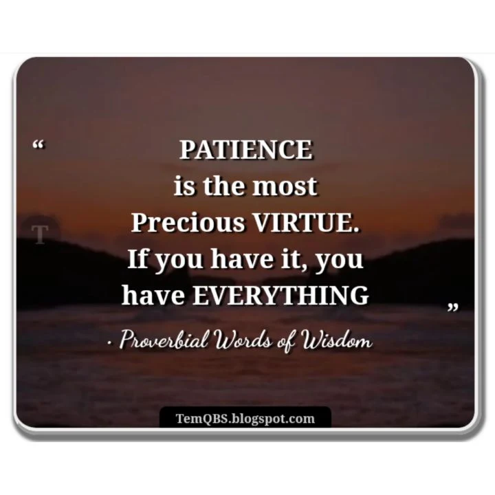 Patience is the most precious virtue. If you have it, you have everything - Proverbial Quote: Wise Words