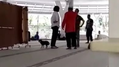 Ini Penyebab Wanita Disebut Stress Bawa Anjing Mengamuk di Masjid