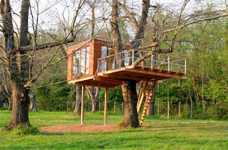 Refugio de madera en un árbol