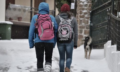 Με τηλεκπαίδευση θα γίνουν την Δευτέρα τα μαθήματα σε όλες τις σχολικές μονάδες που έχει ανασταλεί η λειτουργία λόγω των καιρικών συνθηκών που επικρατούν.