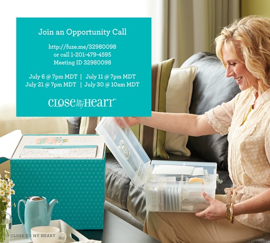 2016-7-cc-consultant-webinar new recruits