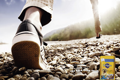 advertising photography