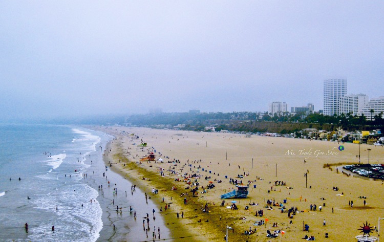 Santa Monica, California, one of the world's beautiful beaches | Ms. Toody Goo Shoes