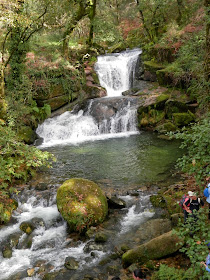 by E.V.Pita.... Spain, amazing rain forest in River Barragan (Pazos de Borben) / Por E.V.Pita.... Sorprendente bosque del río Barragan (Galicia, Pazos de Borbén y Fornelos de Montes) / A fraga do Barragán