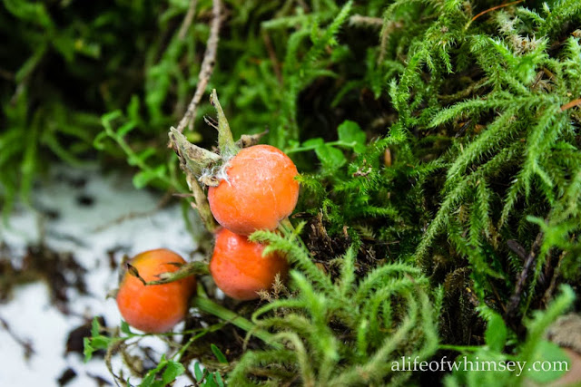 fall moss wreath