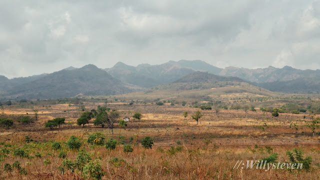 Padang rumput di Maumere